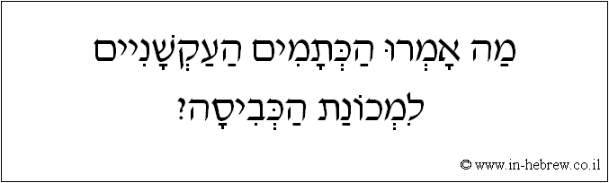 עברית: מה אמרו הכתמים העקשניים למכונת הכביסה?