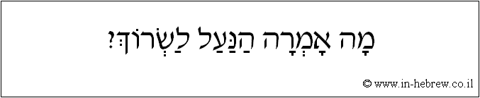 עברית: מה אמרה הנעל לשרוך?