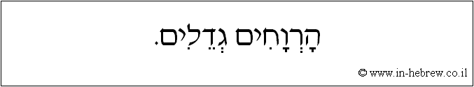 עברית: הרווחים גדלים.