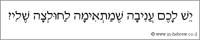 עברית: יש לכם עניבה שמתאימה לחולצה שלי?