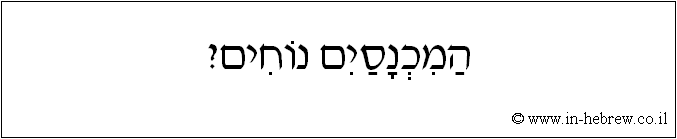 עברית: המכנסים נוחים?
