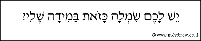 עברית: יש לכם שמלה כזאת במידה שלי?