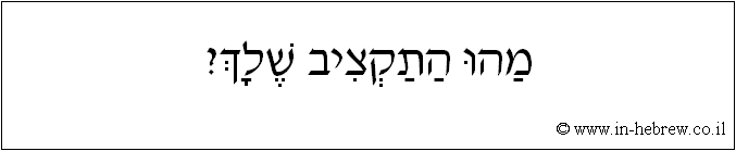 עברית: מהו התקציב שלך?