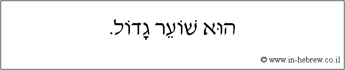 עברית: הוא שוער גדול.