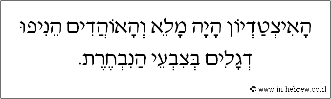 עברית: האיצטדיון היה מלא והאוהדים הניפו דגלים בצבעי הנבחרת.