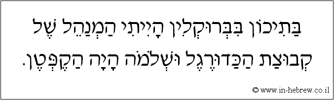 עברית: בתיכון בברוקלין הייתי המנהל של קבוצת הכדורגל ושלמה היה הקפטן.