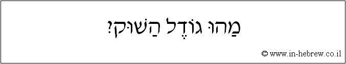 עברית: מהו גודל השוק?