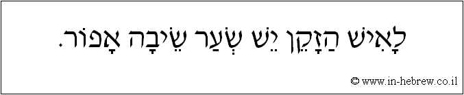 עברית: לאיש הזקן יש שער שיבה אפור.