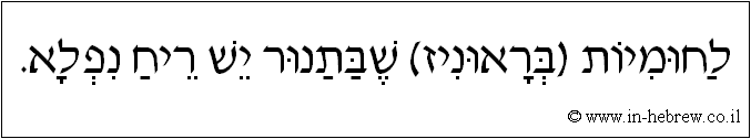 עברית: לחומיות (בראוניז) שבתנור יש ריח נפלא.