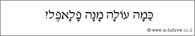 עברית: כמה עולה מנה פלאפל?