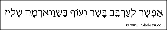עברית: אפשר לערבב בשר ועוף בשווארמה שלי?