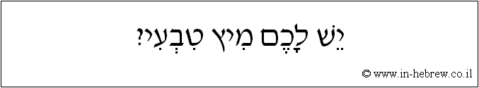 עברית: יש לכם מיץ טבעי?
