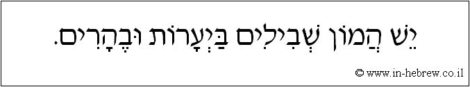 עברית: יש המון שבילים ביערות ובהרים.