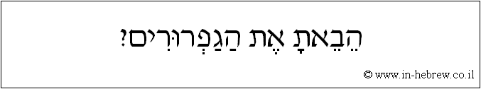 עברית: הבאת את הגפרורים?