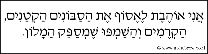 עברית: אני אוהבת לאסוף את הסבונים הקטנים, הקרמים והשמפו שמספק המלון.