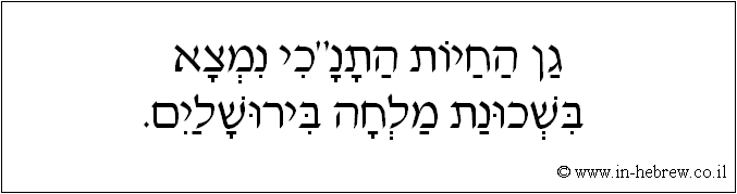 עברית: גן החיות התנ