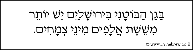 עברית: בגן הבוטני בירושלים יש יותר מששת אלפים מיני צמחים.