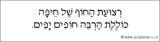 עברית: רצועת החוף של חיפה כוללת הרבה חופים יפים.