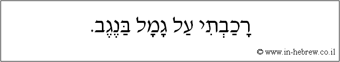 עברית: רכבתי על גמל בנגב.
