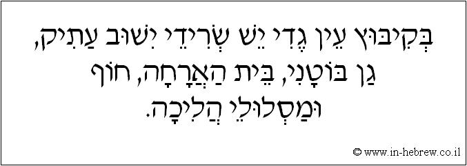 עברית: בקיבוץ עין גדי יש שרידי ישוב עתיק, גן בוטני, בית הארחה, חוף ומסלולי הליכה.