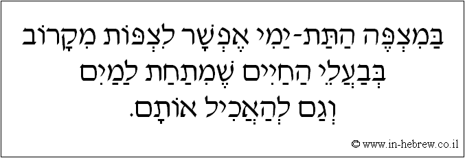 עברית: במצפה התת-ימי אפשר לצפות מקרוב בבעלי החיים שמתחת למים וגם להאכיל אותם.