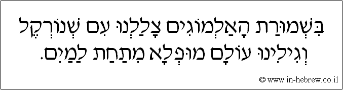 עברית: בשמורת האלמוגים צללנו עם שנורקל וגילינו עולם מופלא מתחת למים.