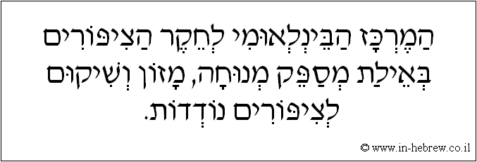 עברית: המרכז הבינלאומי לחקר הציפורים באילת מספק מנוחה, מזון ושיקום לציפורים נודדות.