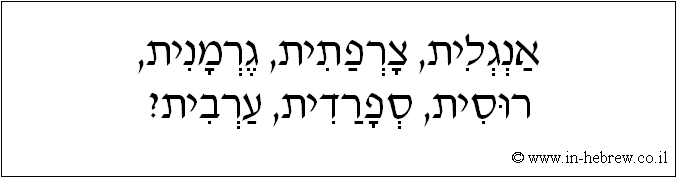 עברית: אנגלית, צרפתית, גרמנית, רוסית, ספרדית, ערבית.