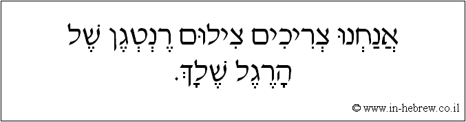 עברית: אנחנו צריכים צילום רנטגן של הרגל שלך.