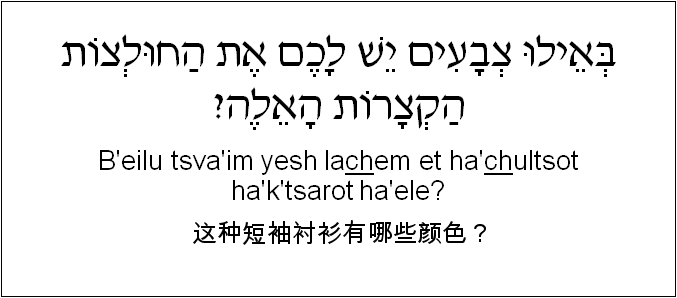 中文和希伯来语: 这种短袖衬衫有哪些颜色？