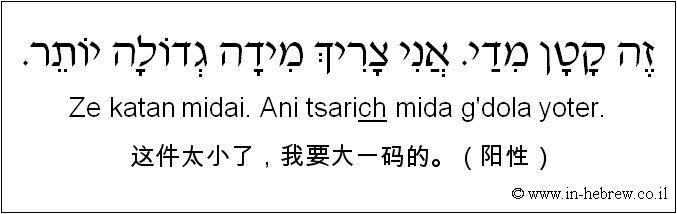 中文和希伯来语: 这件太小了，我要大一码的。（阳性）