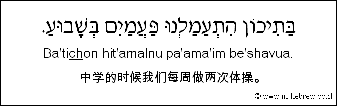 中文和希伯来语: 中学的时候我们每周做两次体操。