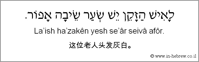 中文和希伯来语: 这位老人头发灰白。