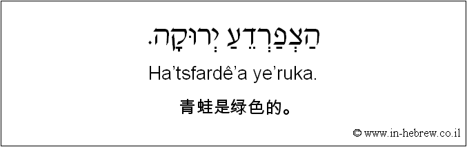 中文和希伯来语: 青蛙是绿色的。