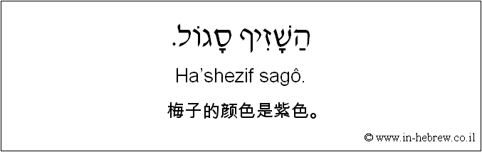 中文和希伯来语: 梅子的颜色是紫色。