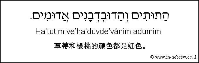 中文和希伯来语: 草莓和樱桃的颜色都是红色。