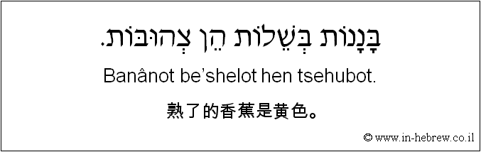 中文和希伯来语: 熟了的香蕉是黄色。