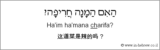 中文和希伯来语: 这道菜是辣的吗？