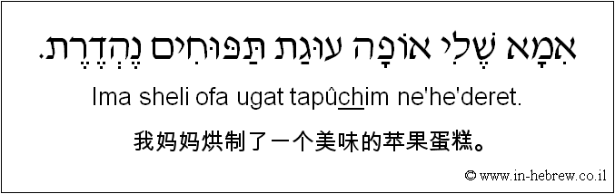 中文和希伯来语: 我妈妈烘制了一个美味的苹果蛋糕。
