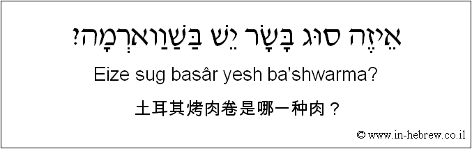 中文和希伯来语: 土耳其烤肉卷是哪一种肉？