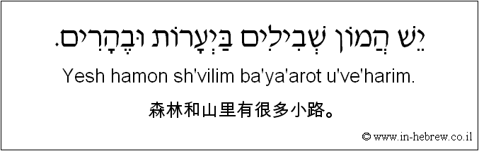 中文和希伯来语: 森林和山里有很多小路。
