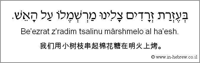 中文和希伯来语: 我们用小树枝串起棉花糖在明火上烤。