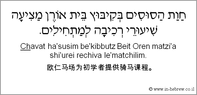 中文和希伯来语: 欧仁马场为初学者提供骑马课程。