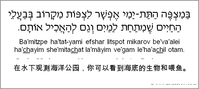 中文和希伯来语: 在水下观测海洋公园，你可以看到海底的生物和喂鱼。