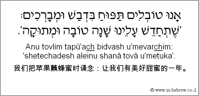 中文和希伯来语: 我们把苹果蘸蜂蜜时诵念：让我们有美好甜蜜的一年。
