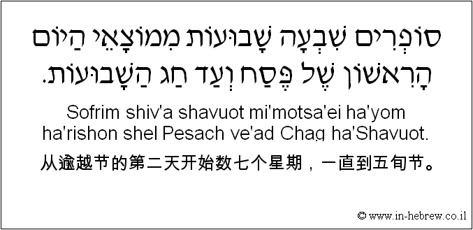 中文和希伯来语: 从逾越节的第二天开始数七个星期，一直到五旬节。