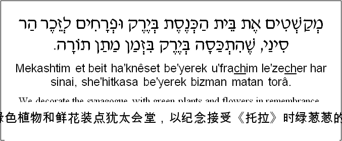 中文和希伯来语: 我们用绿色植物和鲜花装点犹太会堂，以纪念接受《托拉》时绿葱葱的西奈山。