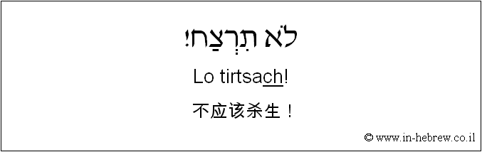 中文和希伯来语: 不应该杀生！