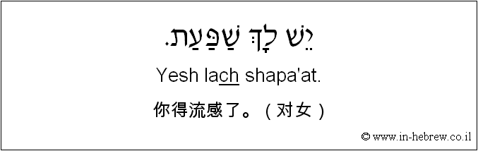 中文和希伯来语: 你得流感了。（对女）