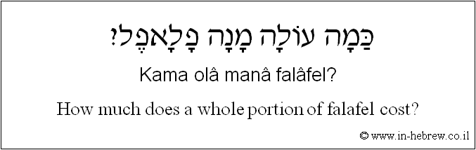 English to Hebrew: How much does a whole portion of falafel cost?